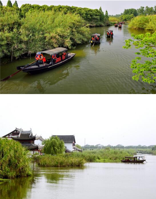向往的生活,藏在初夏的沙家浜